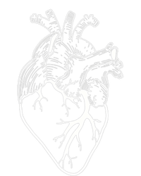 Anatomical Heart Cardiac Nurse Premium T-Shirt