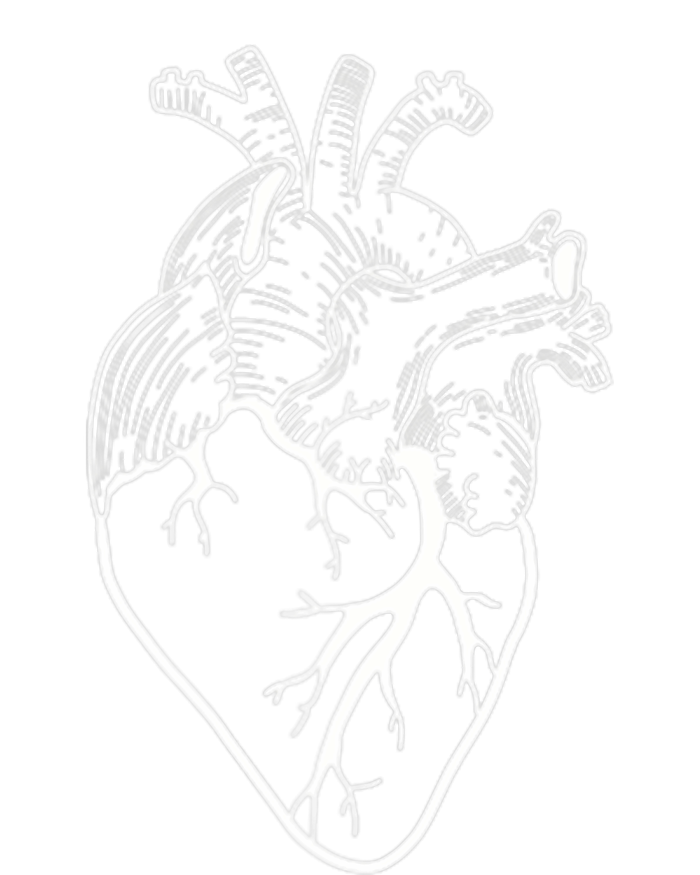 Anatomical Heart Cardiac Nurse Premium T-Shirt