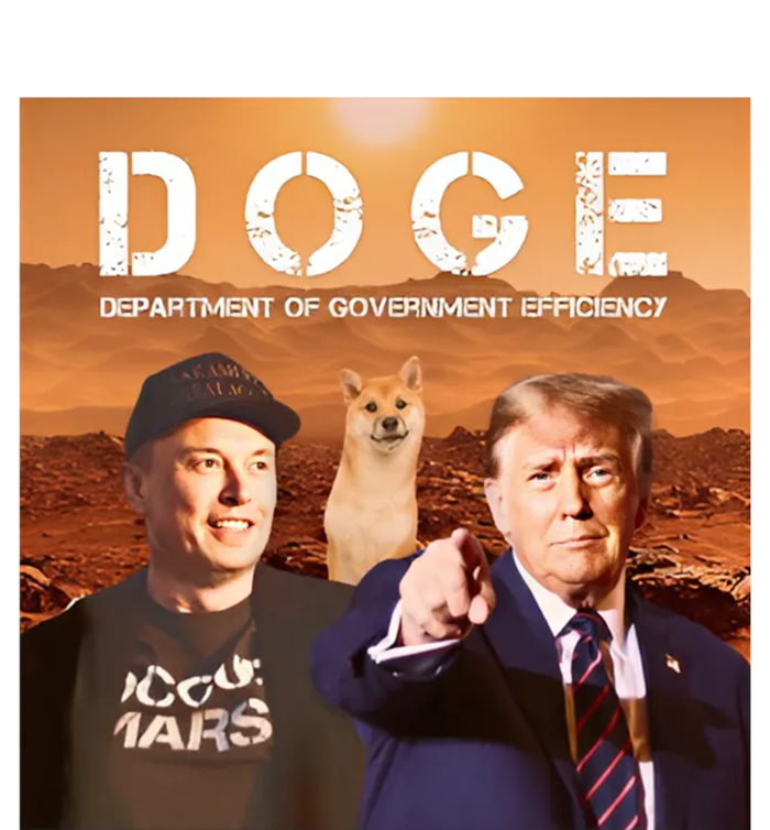 D.O.G.E Doge Department Of Government Efficiency T-Shirt