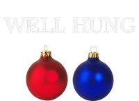 Well Hung Funny Christmas T-Shirt