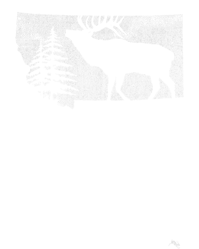 Montana Elk Hunter Coaster