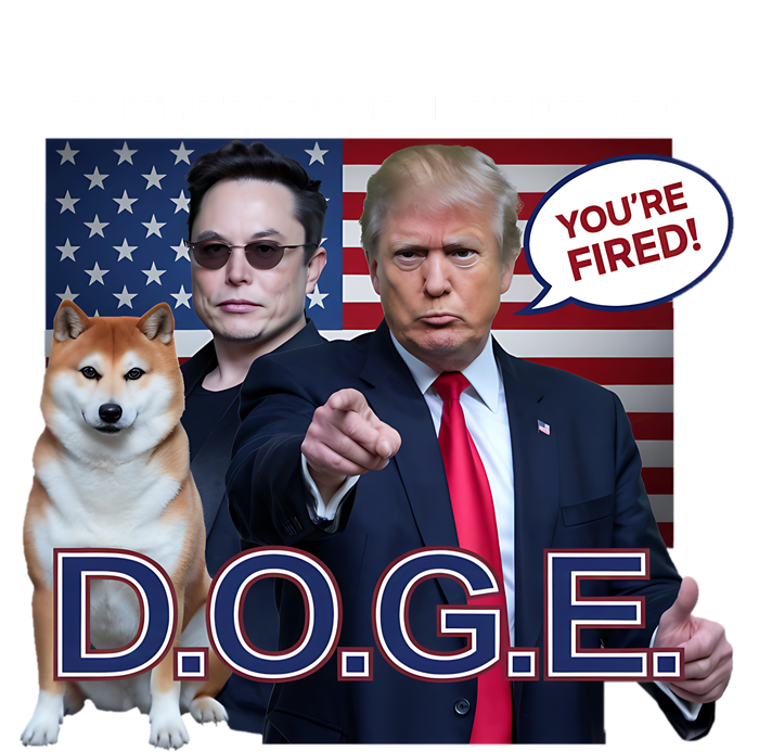 Doge Department Of Government Efficiency Wool Snapback Cap