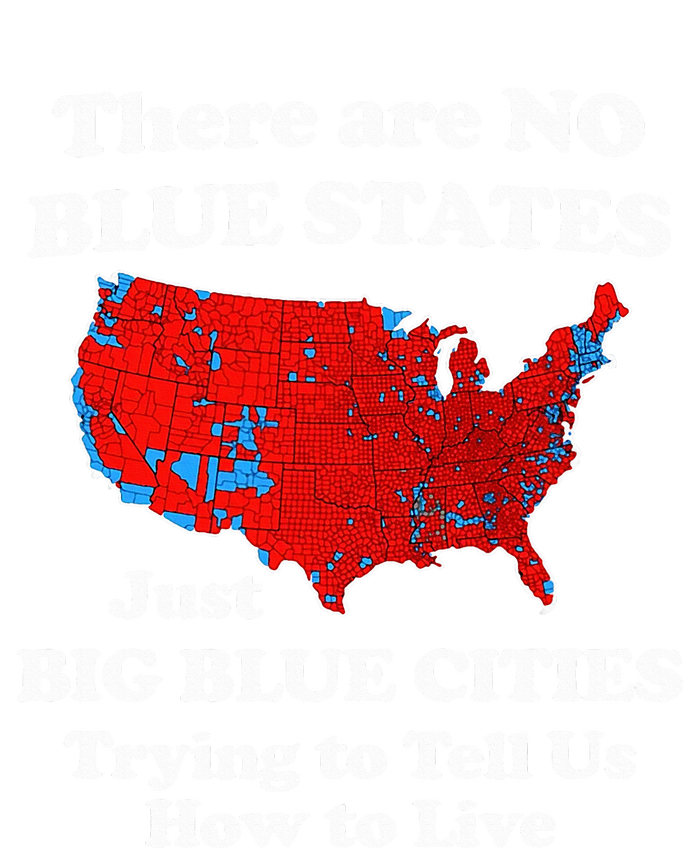 There Are No Blue States Only Big Blue Cities Kids T-Shirt