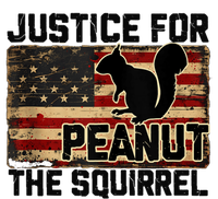 Justice For Peanut The Squirrel Vintage Usa Flag Long Sleeve Shirt