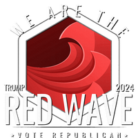 We Are The Red Wave Trump 2024 Vote Republican Hoodie