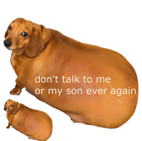 Dont Talk To Me Or My Son Ever Again Geek Dog T-Shirt