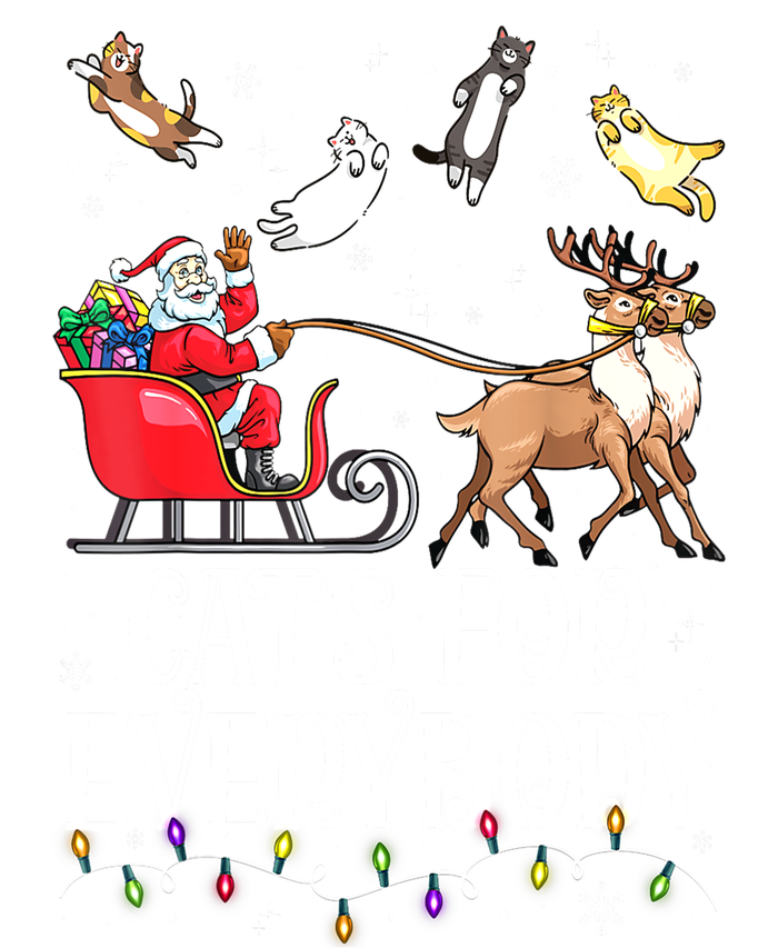 Women Xmas Cats For Everybody Christmas Lights Cat Funny Santa Gift T-Shirt