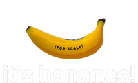 ItS Bananas (For Scale) Starship T-Shirt