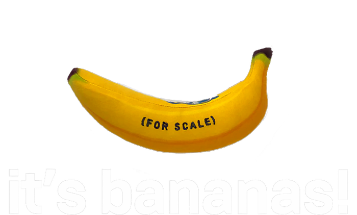 ItS Bananas (For Scale) Starship T-Shirt