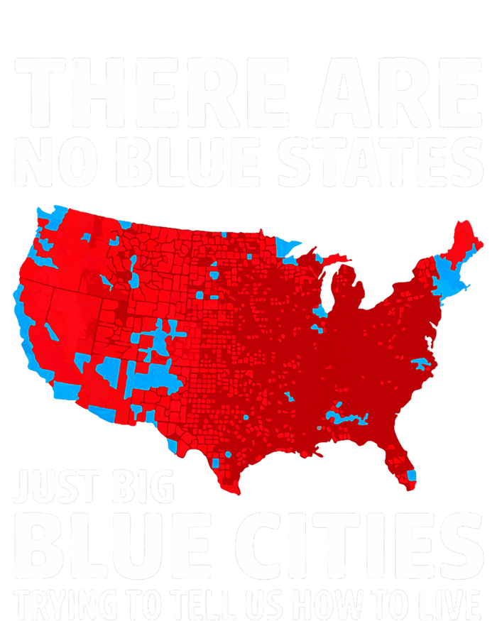 There Are No Blue States Only Big Blue Cities T-Shirt