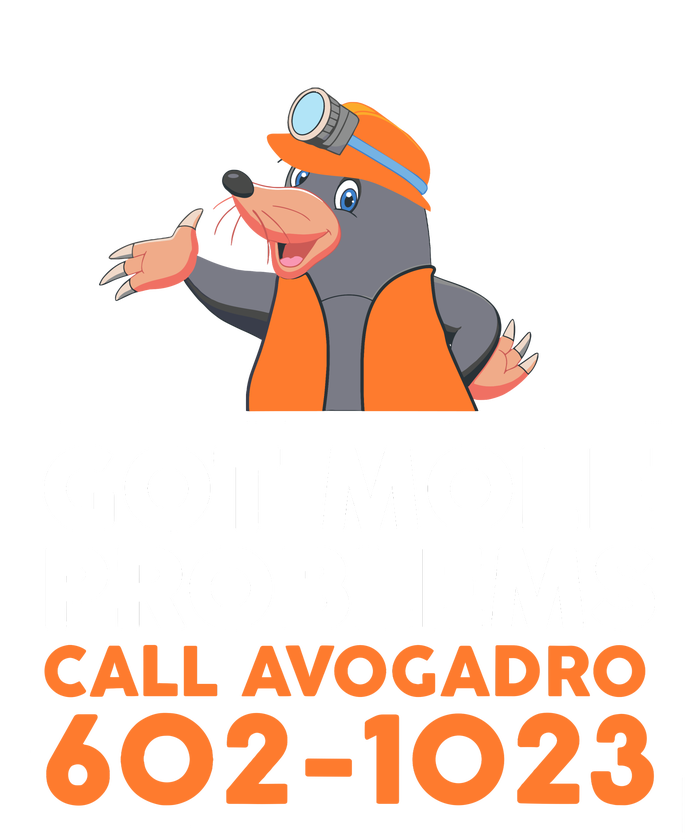 Got Mole Problem Call Avogadro Funny Mole Tank Top