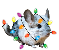 Christmas Lights Chinchilla Funny Xmas Tree Chinchilla Ceramic Star Ornament