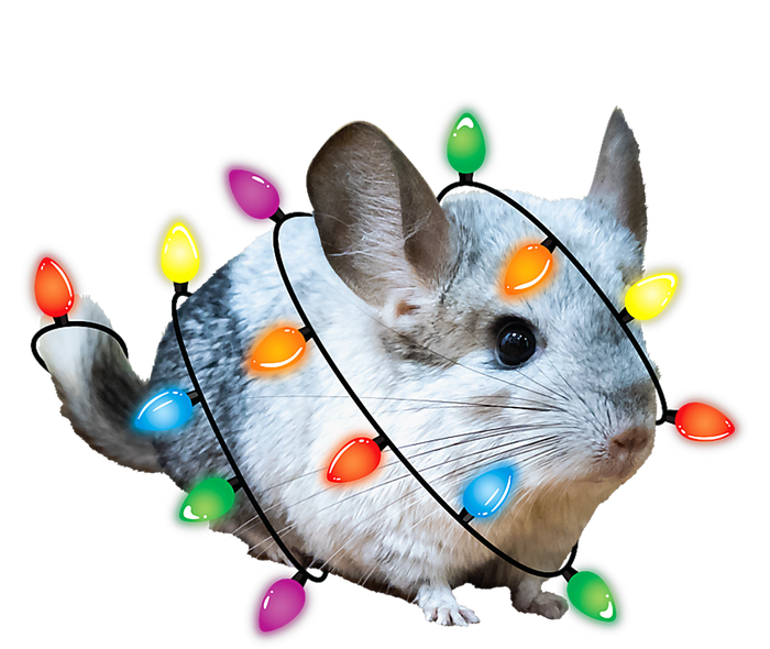 Christmas Lights Chinchilla Funny Xmas Tree Chinchilla Ceramic Star Ornament