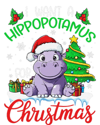 I Want A Hippopotamus For Christmas Xmas Hippo Lover Funny T-Shirt