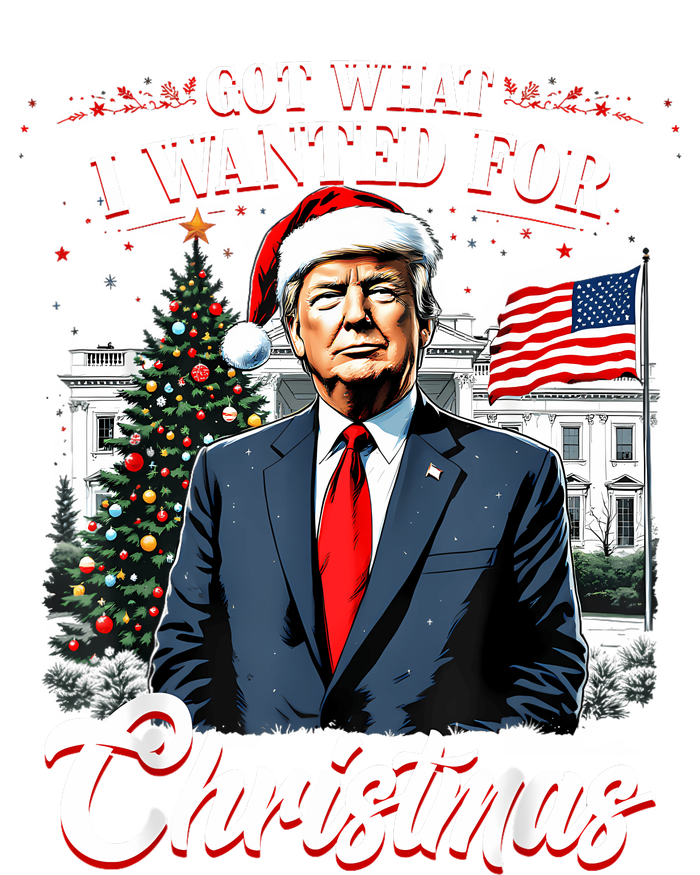 Got What I Wanted For Christmas Trump 2024 T-Shirt