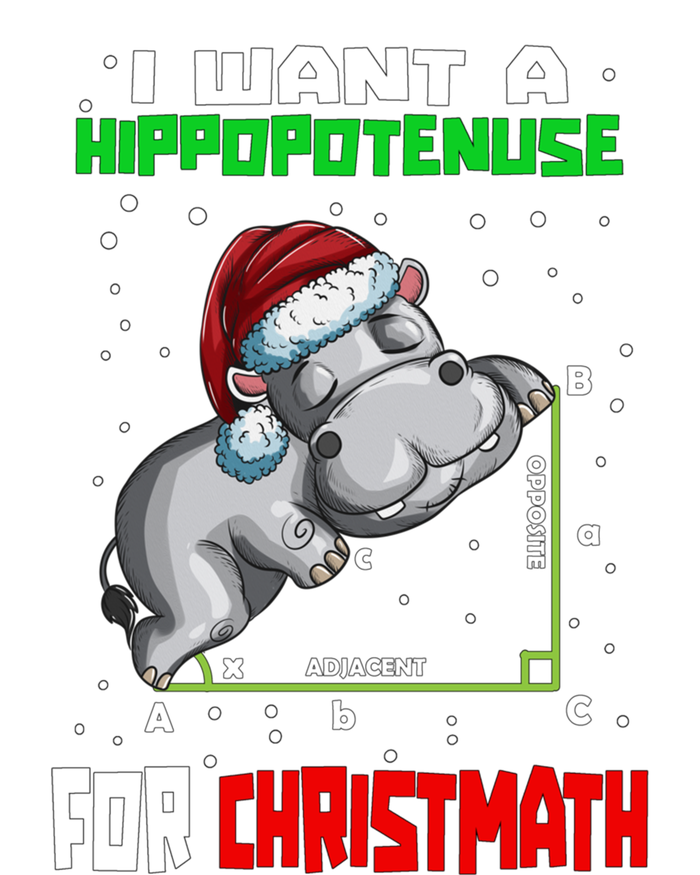 Math Hippopotamus Saying I Want A Hippopotenuse Gift Women's Tri-Blend 3/4-Sleeve Raglan Shirt