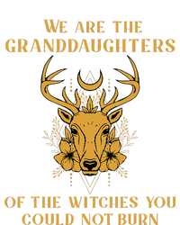 We Are The Granddaughters Of The Witches You Could Not Burn T-Shirt