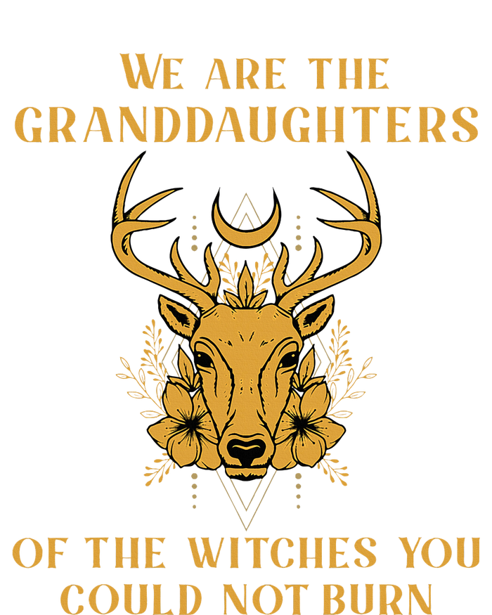 We Are The Granddaughters Of The Witches You Could Not Burn T-Shirt