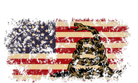 Gadsden Flag Snake America Usa Patriotic Vintage Gift T-Shirt