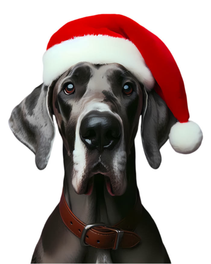 Great Dane With Santa Hat Christmas Xmas Dog Owner Mom Dad Meaningful Gift T-Shirt