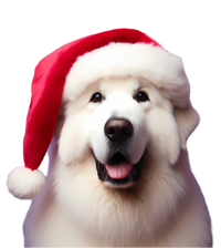 Great Pyrenees With Santa Hat Christmas Dog Owner Lover Mom Gift T-Shirt