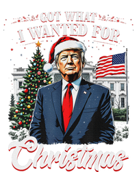 Got What I Wanted For Christmas Trump 2024 T-Shirt