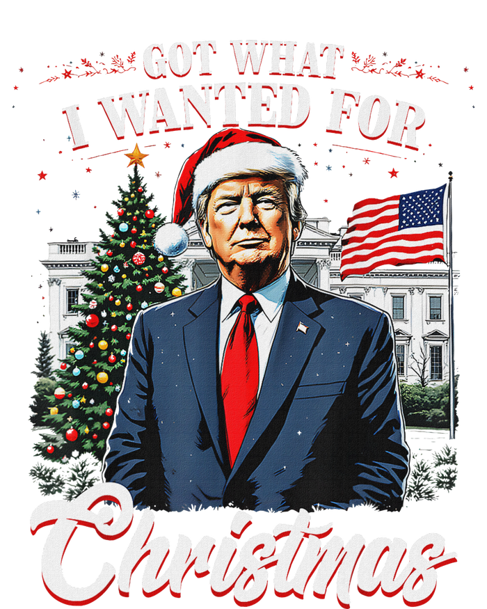 Got What I Wanted For Christmas Trump 2024 T-Shirt