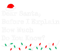 Dear Santa Before I Explain How Much Do You Know Christmas T-Shirt