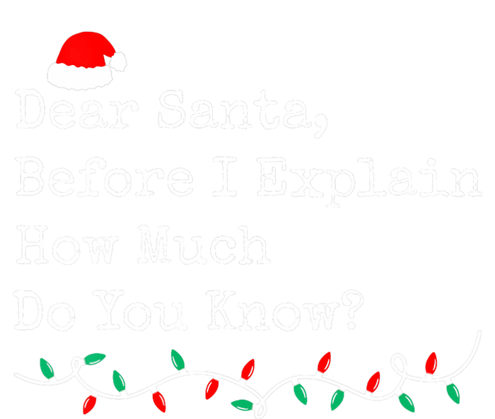 Dear Santa Before I Explain How Much Do You Know Christmas T-Shirt