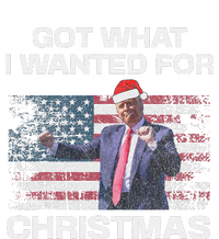 Got What I Wanted For Christmas Trump 2024 Won President T-Shirt