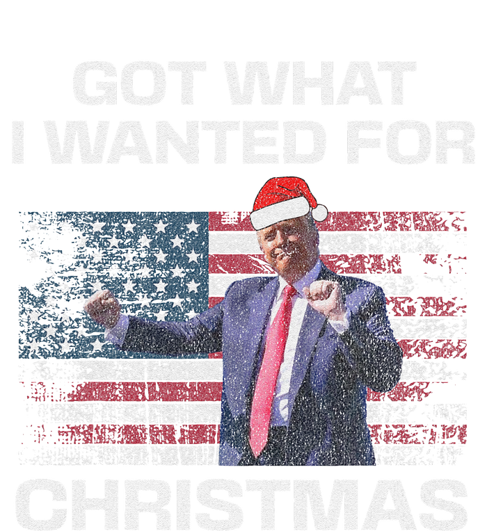 Got What I Wanted For Christmas Trump 2024 Won President T-Shirt