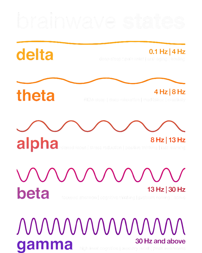 Brain Wave Beta Wave Alpha Wave Delta Neuroplasticity T-Shirt