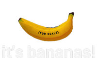 ItS Bananas Starship T-Shirt