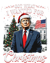 Got What I Wanted For Christmas Trump 2024 Kids Hoodie