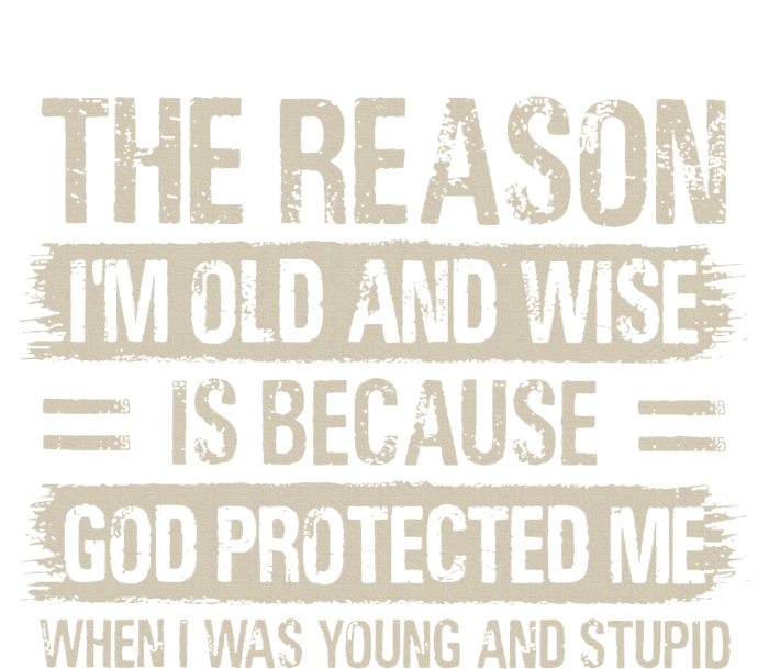 The Reason IM Old And Wise Inspirational Christian Faith Toddler Fine Jersey T-Shirt