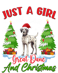 Just A Who Loves Great Dane And Christmas Santa Hat Gift T-Shirt