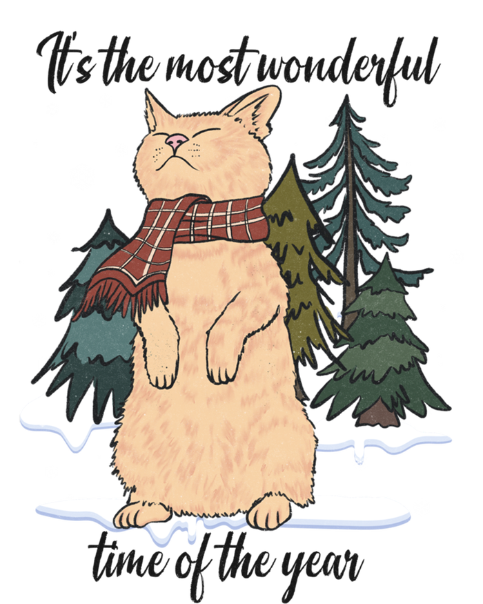 Christmas Cat With Red Scarf And Winter Wonderland Gift Kids Sweatshirt