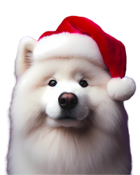 Samoyed With Santa Hat Christmas Xmas Dog Owner Mom Dad Gift Long Sleeve Shirt