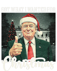 Got What I Wanted For Christmas Santa Trump Won 2024 T-Shirt