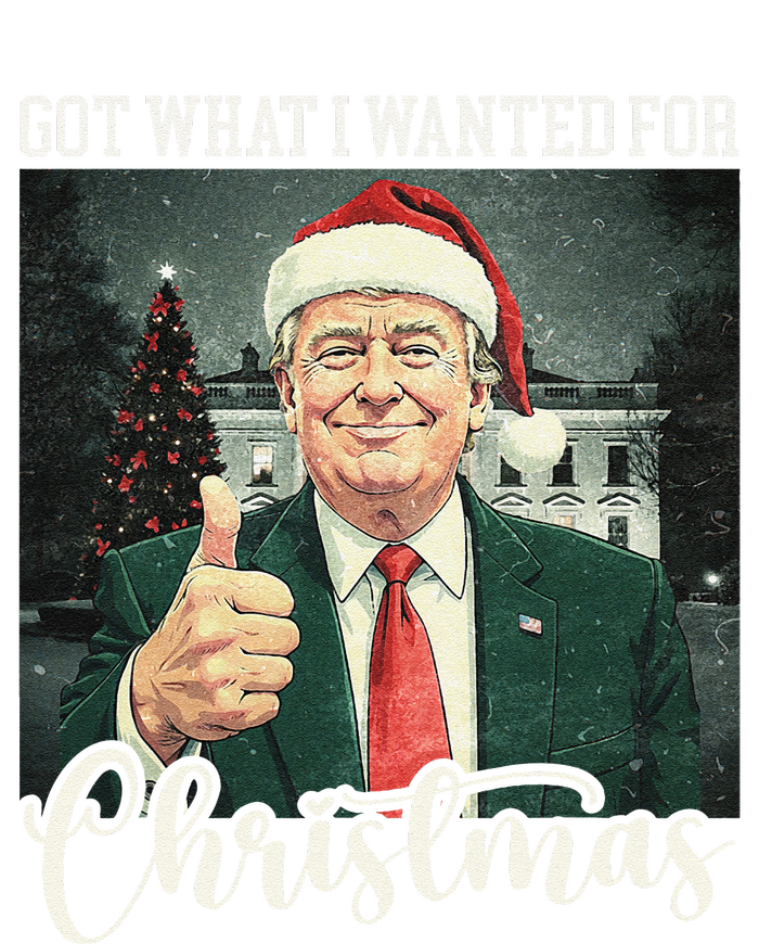 Got What I Wanted For Christmas Santa Trump Won 2024 T-Shirt