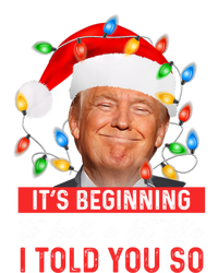 ItS Beginning To Look A Lot Like I Told You So Trump Xmas Great Gift Sustainable Knit Beanie