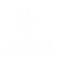 Baseball Catcher Thou Shalt Not Steal Religious Gift T-Shirt