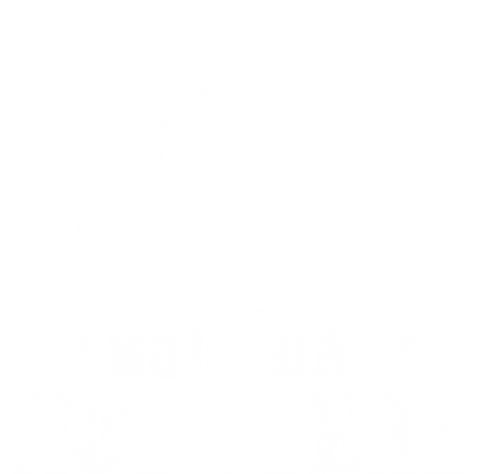 Baseball Catcher Thou Shalt Not Steal Religious Gift T-Shirt