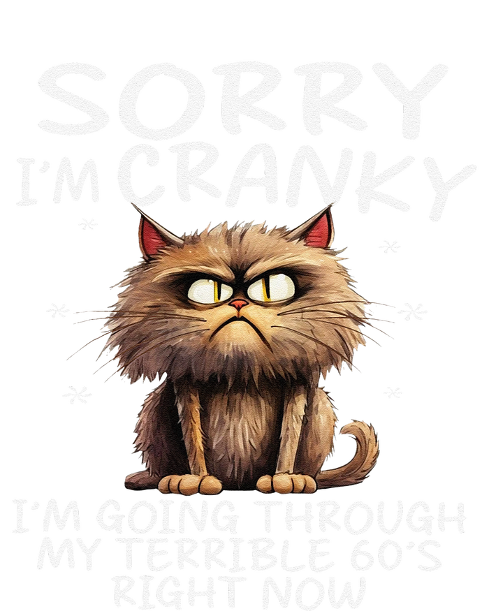 Cat Sorry IM Cranky IM Going Through My Terrible 60S T-Shirt