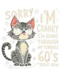 Fun Cat Sorry IM Cranky IM Going Through My Terrible 60S T-Shirt