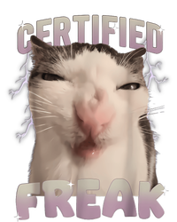 Meme Cat Certified Freak Eat Cement Cursed Cat Funny Kids Sweatshirt