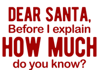 Dear Santa Before I Explain How Much Do You Know Funny Christmas T-Shirt