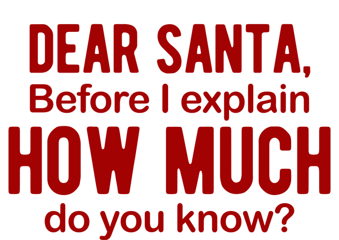 Dear Santa Before I Explain How Much Do You Know Funny Christmas T-Shirt