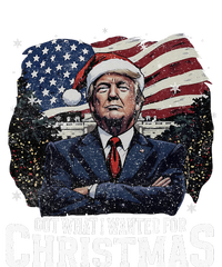 Got What I Wanted For Christmas Trump Won 2024 T-Shirt