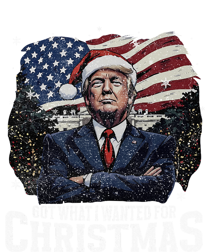 Got What I Wanted For Christmas Trump Won 2024 T-Shirt